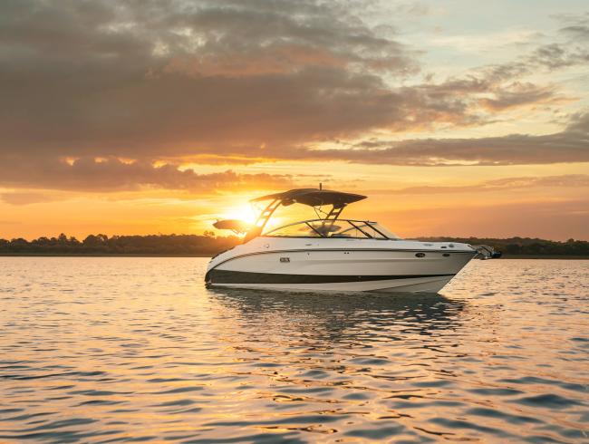 260 Searay Surf