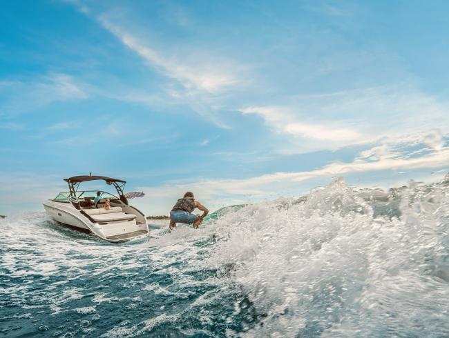 260 Searay Surf