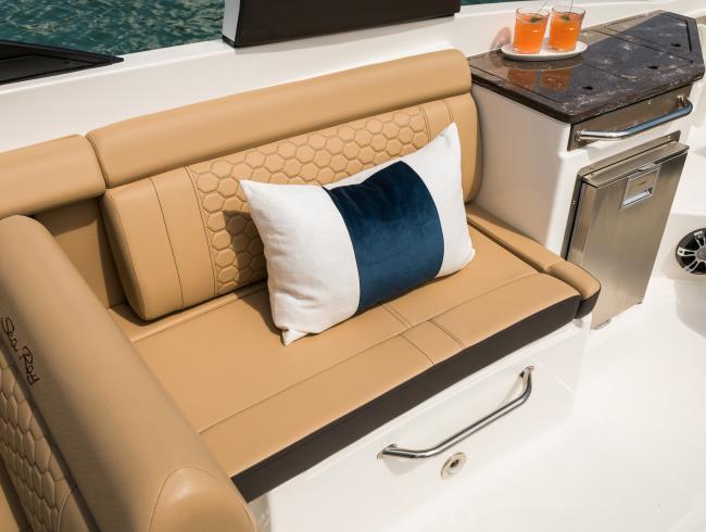 Sea Ray 290 SDX OB