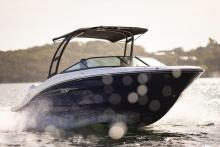 210 SPX  Searay outboard motorboot sportboot Belgian Boat Service